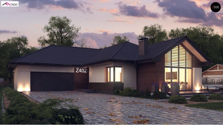 Проект Z402 Стильный одноэтажный дом с панорамным остеклением в гостиной  Проекты домов и гаражей