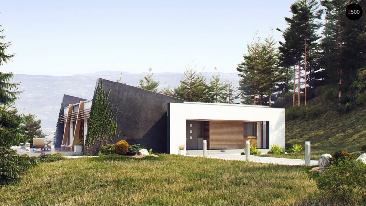Функциональный одноэтажный дом исключительного современного дизайна - ZX106