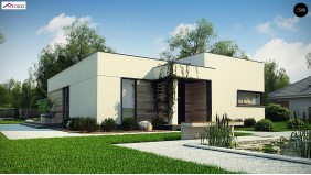 Проект Zx138 Одноэтажный дом с панорамными окнами и плоской кровлей  Проекты домов и гаражей